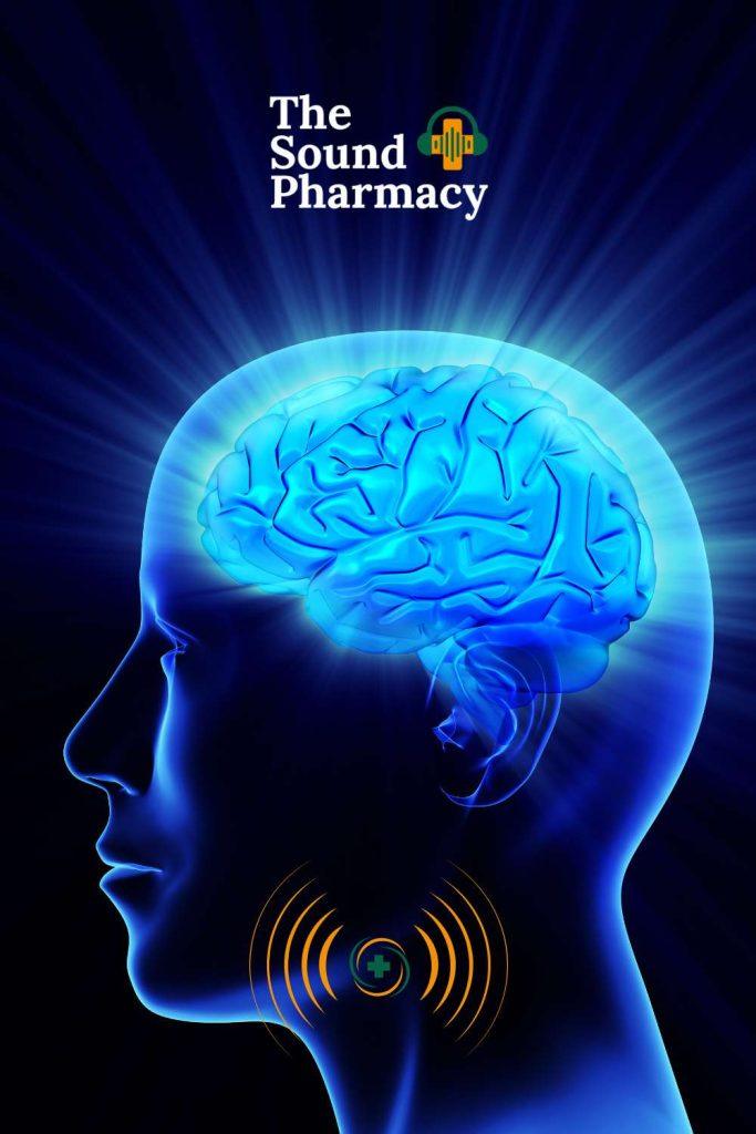 brainwave states delta theta alpha beta gamma chart