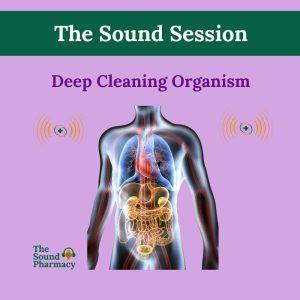 Deep Cleaning Organism Sound Sessions