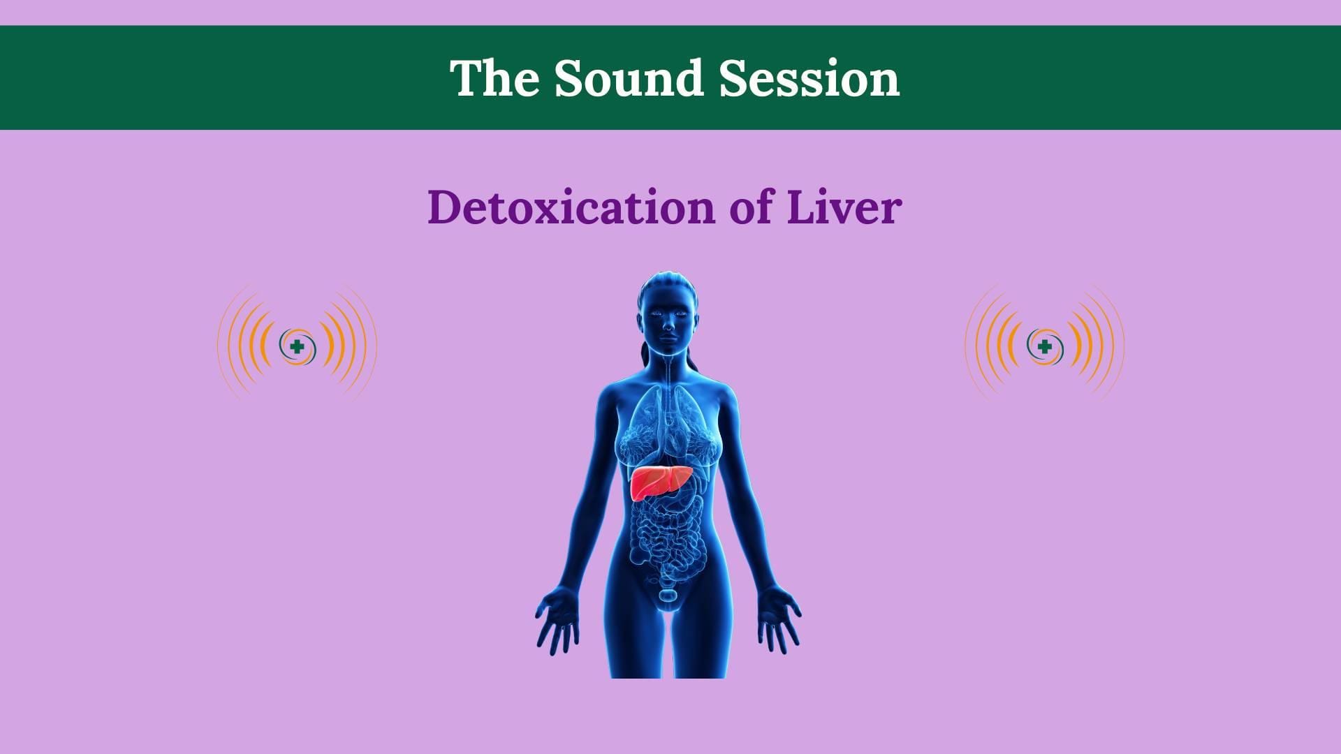 Liver Detox Frequencies energetic purification hero visual