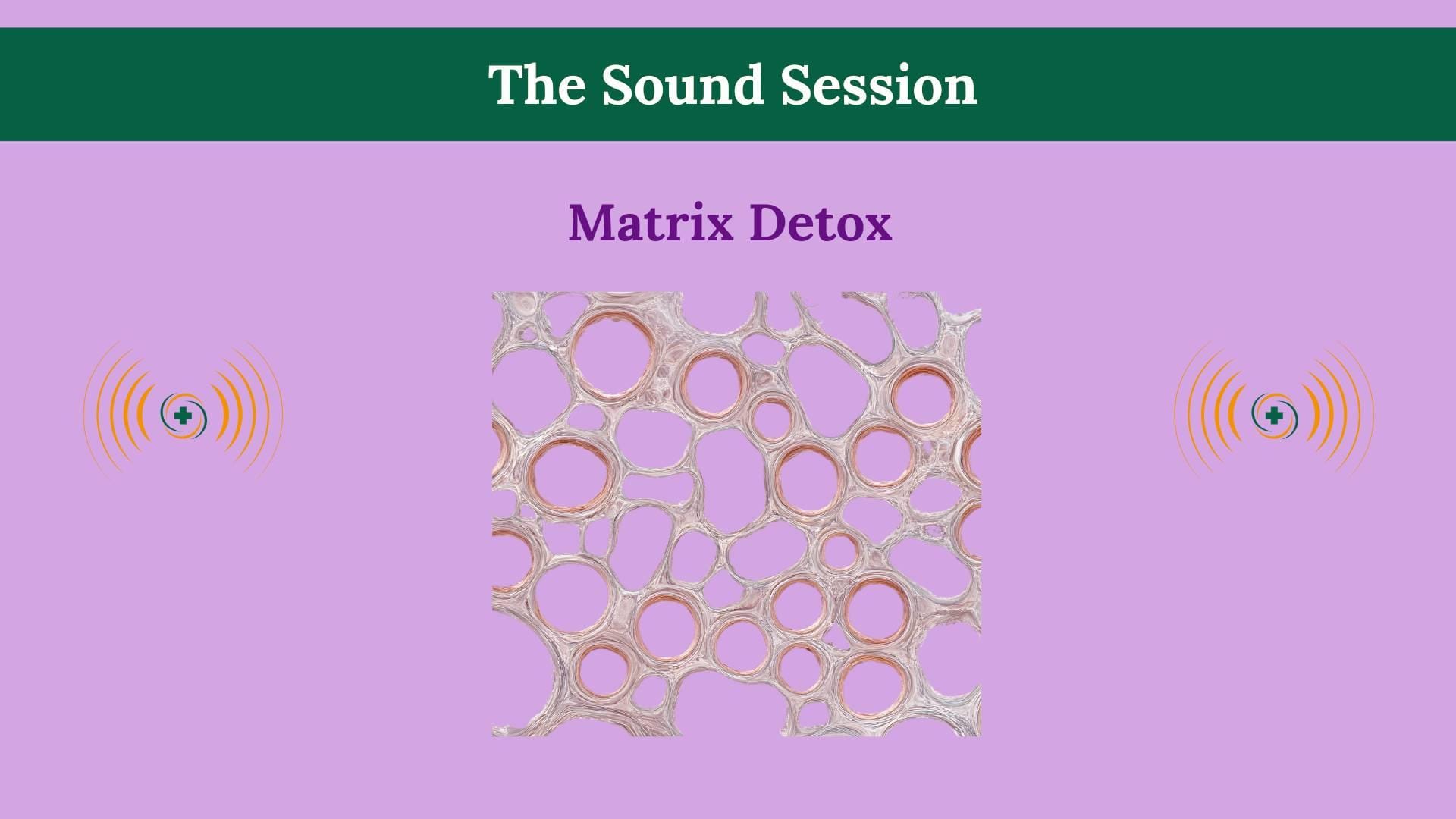 Matrix Detox Frequencies energetic purification hero visual