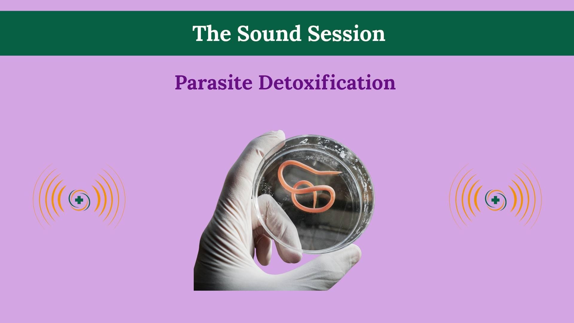 Parasite Detox Frequencies energetic purification hero visual