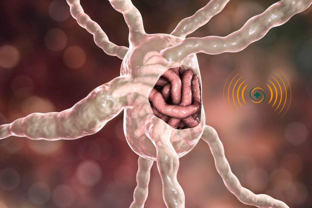 Parasite Detox Frequencies frequency visual
